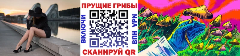 Галлюциногенные грибы GOLDEN TEACHER Аша