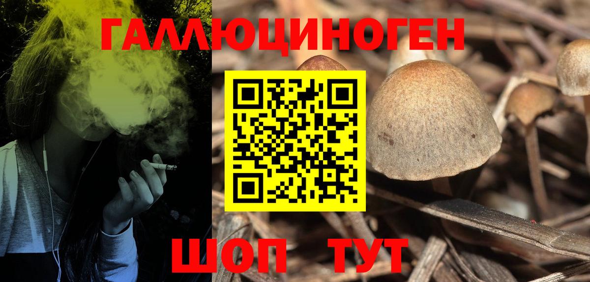 Аша  Галлюциногенные грибы Psilocybine cubensis  Вход с VPN  сколько стоит  Псилоцибиновые грибы мухоморы 